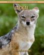 Jackal - Preview