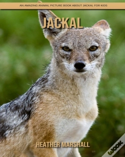 Capa do artigo Jackal