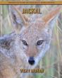 Jackal - Preview