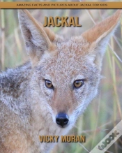 Capa do artigo Jackal