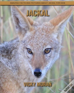 Capa do artigo Jackal
