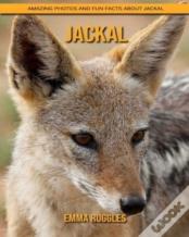 Jackal