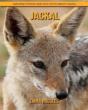 Jackal - Preview
