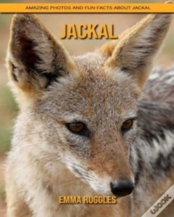 Capa do artigo Jackal