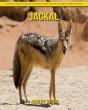 Jackal - Preview