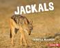 Jackals - Preview