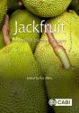 Jackfruit - Preview
