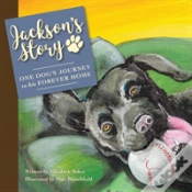 Capa do artigo Jackson