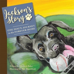 Capa do artigo Jackson'S Story