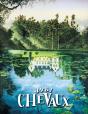 Jacky Chevaux - Preview