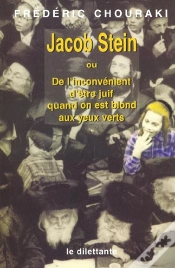 Capa do artigo Jacob Stein Ou De L