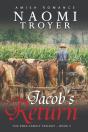 Jacob'S Return - Preview