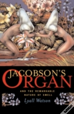 Capa do artigo Jacobson'S Organ