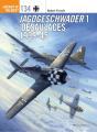 Jagdgeschwader 1 Â€˜Oesauâ€™ Aces 1939-45 - Preview