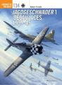 Jagdgeschwader 1  Oesau  Aces 1939-45 - Preview