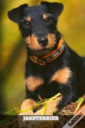 Capa do artigo Jagdterrier