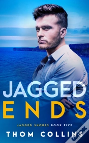 Capa do artigo Jagged Ends
