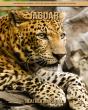 Jaguar - Preview