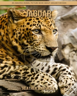 Capa do artigo Jaguar