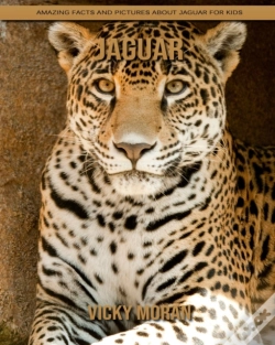 Capa do artigo Jaguar