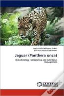 Jaguar (Panthera Onca)
