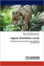 Jaguar (Panthera Onca) - Preview
