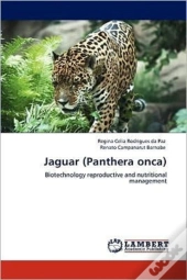 Jaguar (Panthera Onca)