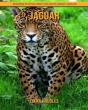 Jaguar - Preview