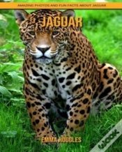 Capa do artigo Jaguar