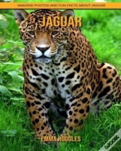 Capa do artigo Jaguar