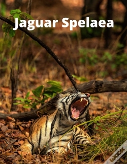 Capa do artigo Jaguar Spelaea