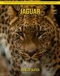 Jaguar - Preview