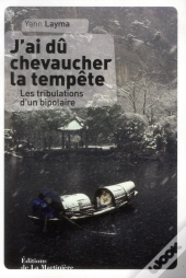 J'Ai Du Chevaucher La Tempete. Les Tribulations D'Un Bipolaire En Chine
