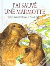 Capa do artigo J