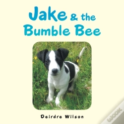 Capa do artigo Jake & The Bumble Bee