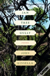 Capa do artigo Jam Tree Gully