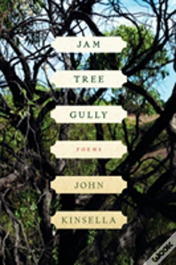Capa do artigo Jam Tree Gully