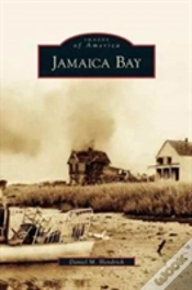 Capa do artigo Jamaica Bay
