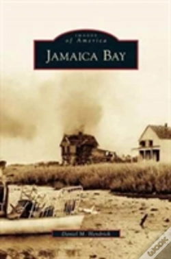 Capa do artigo Jamaica Bay