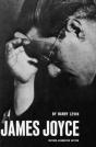 James Joyce A Critical Introduction - Preview