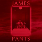 Capa do artigo James Pants - CD