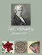 James Sowerby - Preview
