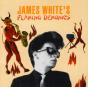 James White's Flaming Demonics - CD - Preview