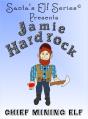 Jamie Hardrock, Chief Mining Elf - Preview