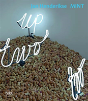 Jan Henderikse: Mint - Preview