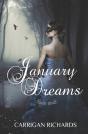 January Dreams - Preview