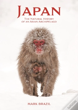 Capa do artigo Japan
