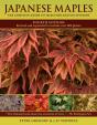 Japanese Maples - Preview