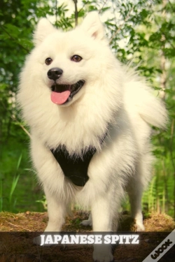 Capa do artigo Japanese Spitz