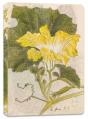 Japanese Squash Blossom Lined Paperback Journal - Preview